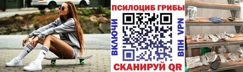 Галлюциногенные грибы мицелий  Купить где  Туринск 